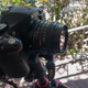 The Minolta 50mm with adapter ring.